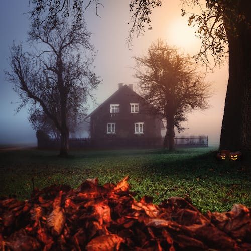 Kostenloses Stock Foto zu altes haus, atmosphärisch, düster