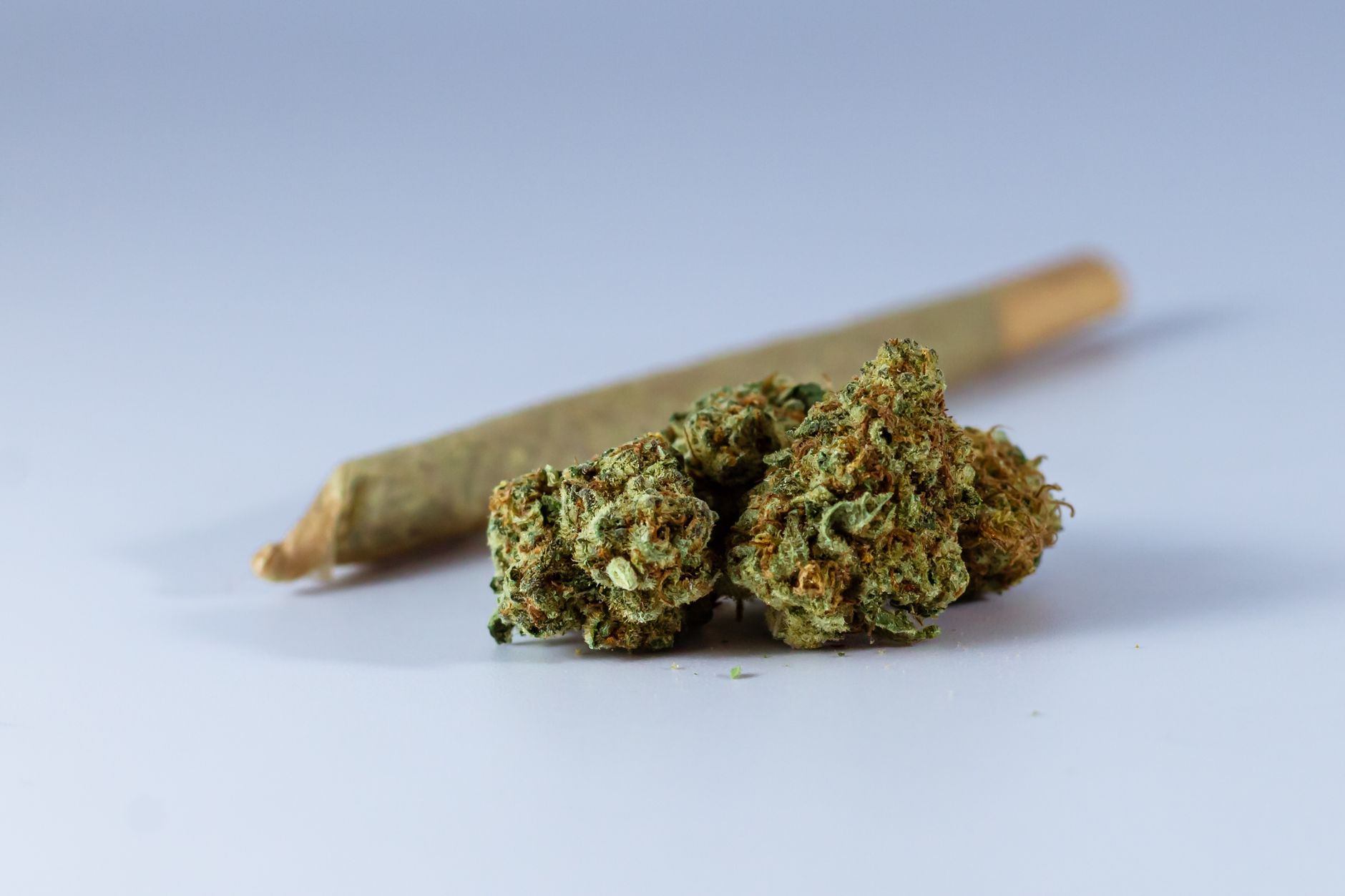 Standard and infused pre-rolled joints at a DC dispensary Infused cannabis pre-rolls and standard pre-rolls displayed at MrGreen DC