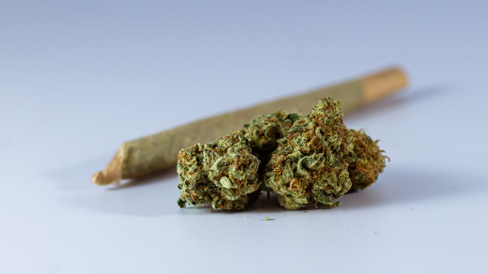 Macro shot of cannabis buds next to a pre-rolled joint, ideal for medicinal or recreational use imagery.