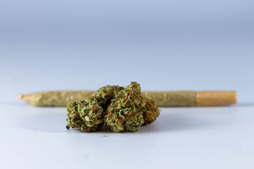 Free Close-up of marijuana buds and a rolled joint on a white background. Stock Photo