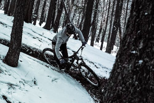 Photos gratuites de forêt, neige, vélo de montagne