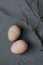 Free stock photo of art, baking, bird