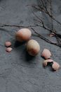 Brown and White Round Fruit on Black Surface