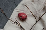 Free stock photo of art, baking, bird