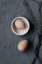 Free stock photo of art, baking, blue