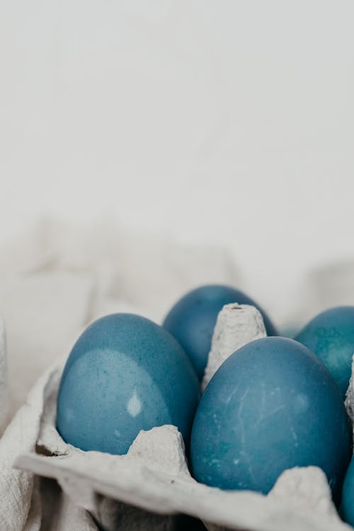 Close-up of Blue Eggs in an Egg Tray