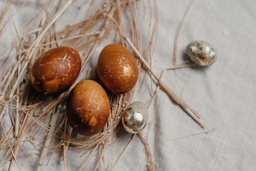 Brown Round Fruit on Brown Dried Leaves