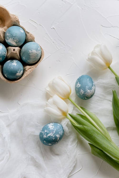 계란, 봄, 부활절의 무료 스톡 사진