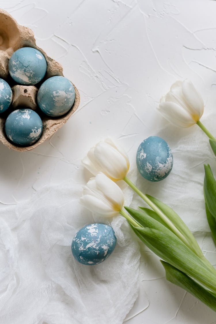 Three White Tulips Beside Blue Easter Eggs