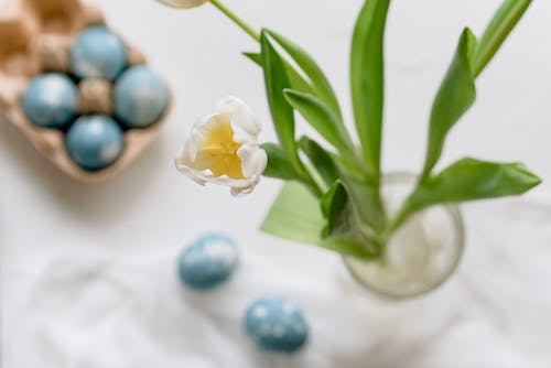 Fotos de stock gratuitas de azul, coloración, florero de vidrio