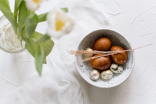 Fotos de stock gratuitas de bol, cocinando, coloración