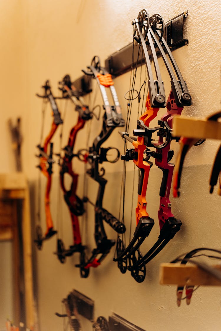 Compound Bows Hanging On A Wall Rack