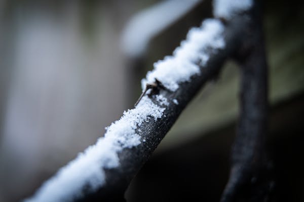 Shiatsu massage therapy