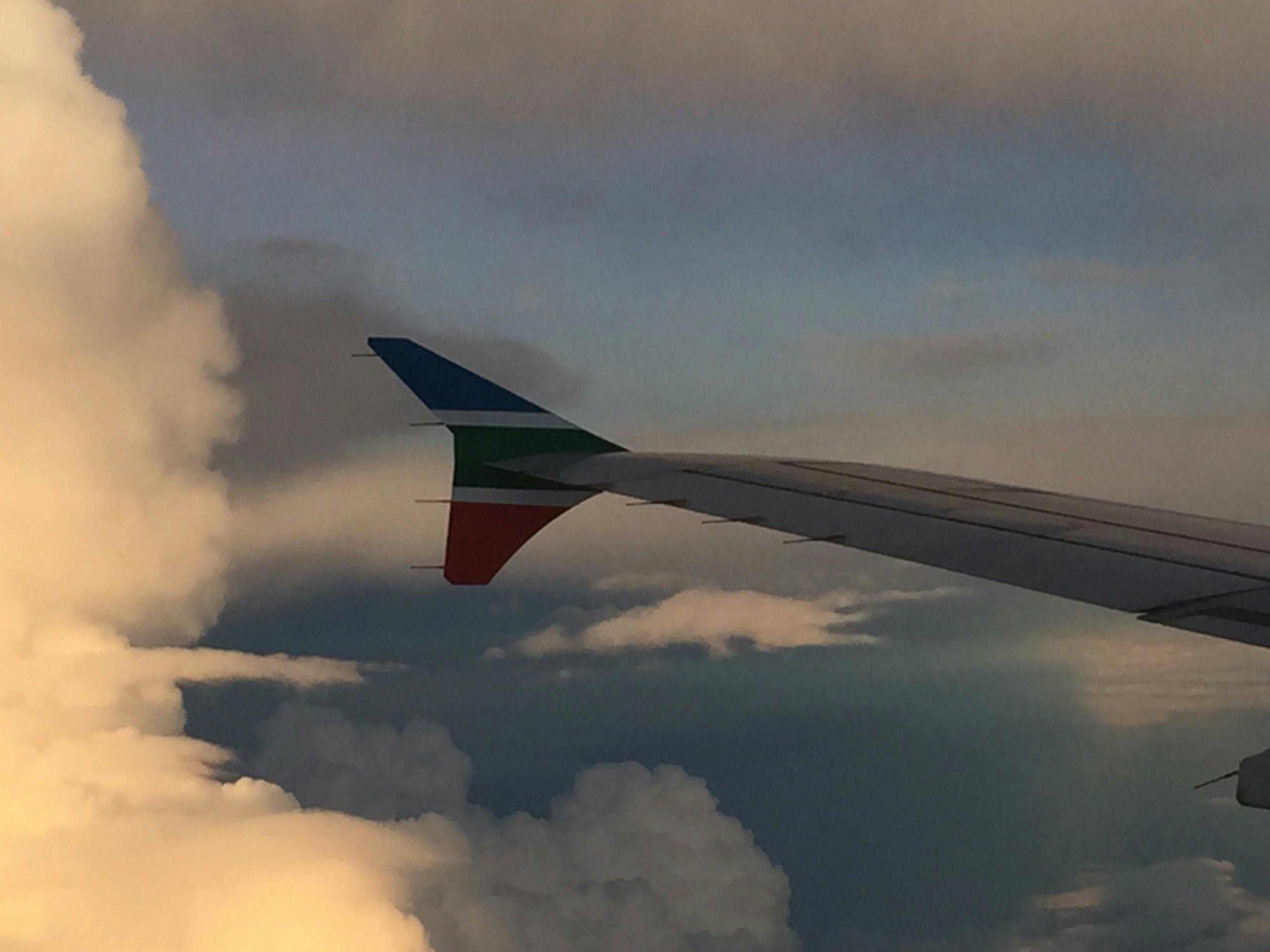 قراءة ملصقات الطعام