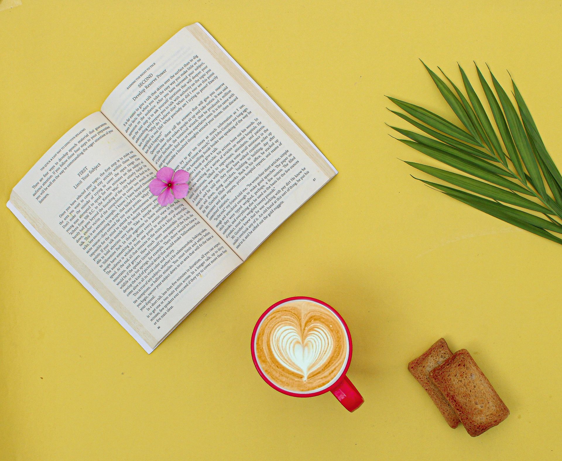 Flat lay of an open book, latte, pink flower, palm leaf, and biscuits on a vibrant yellow background.