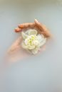 Anonymous woman with gentle white flower in water