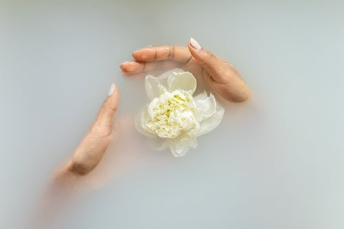 Free Unrecognizable female with manicured hands holding white flower in hands in soapy water during spa procedures Stock Photo