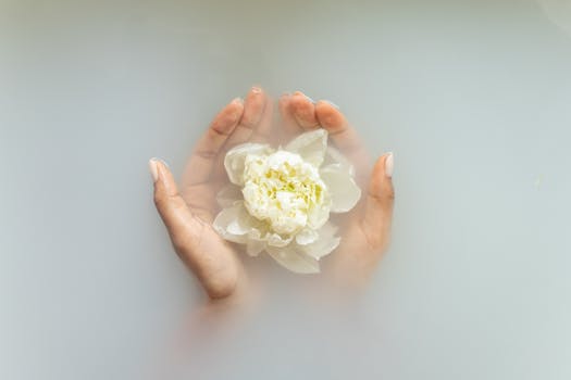 Hands holding a white flower in serene milky water, perfect for spa and wellness themes.