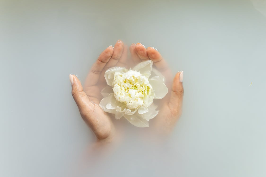 Woman holding gentle ivory flower in hands