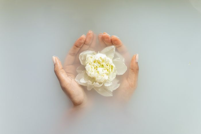 Kenapa Pilih D Orchid Reflexology