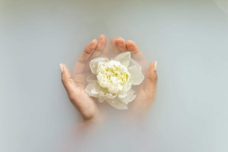 Woman Holding Gentle Ivory Flower In Hands