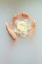 Unrecognizable female with soft manicured hands holding white flower with delicate petals in hands during spa procedures
