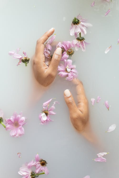 From above of anonymous female with manicure touching delicate petals of pink flowers in soap water