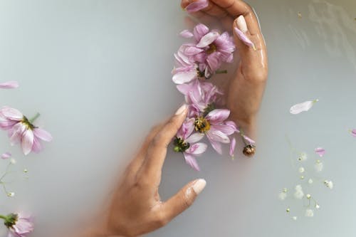 Free Woman holding flowers in hands in water Stock Photo