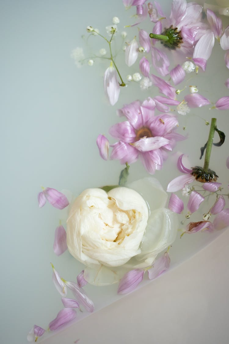 Milk Bath With Flower Petals In House