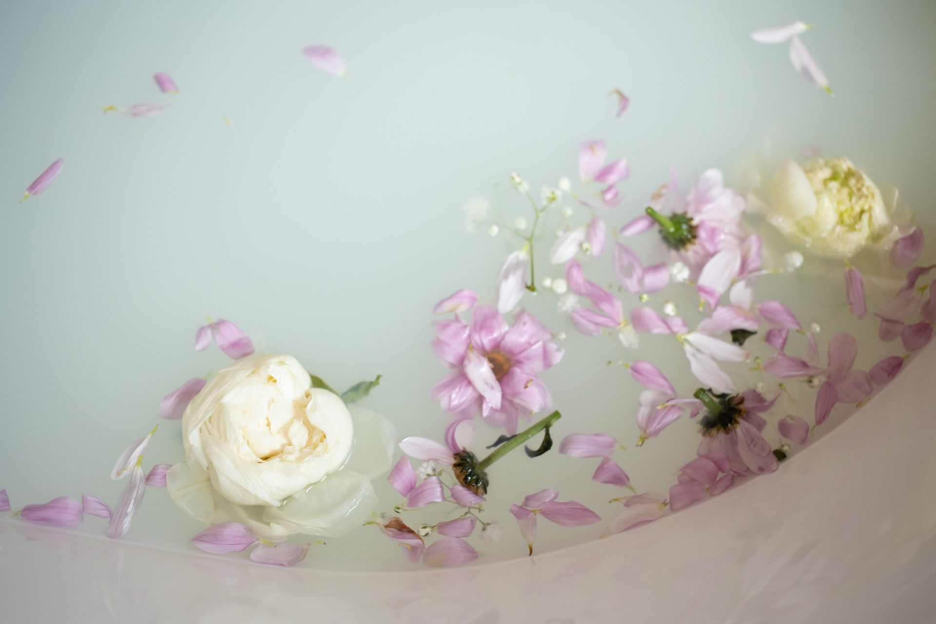Milk bath with flower petals in bathroom