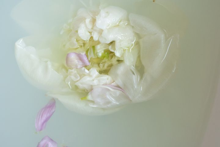 Top view of white water in bathtub with fresh colorful flower petals in light flat