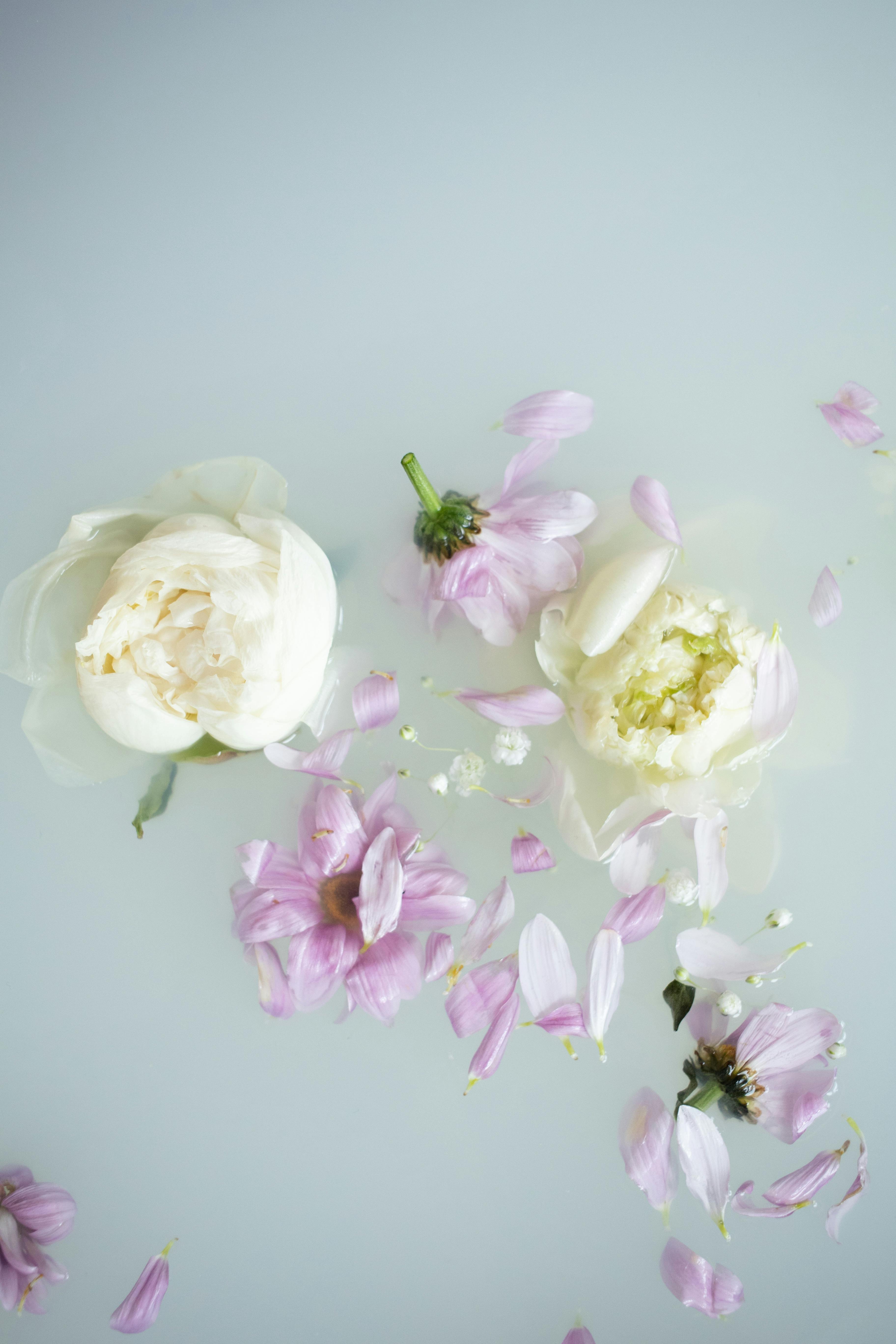 A serene composition of pastel pink and white flowers on a light backdrop, perfect for nature themes.