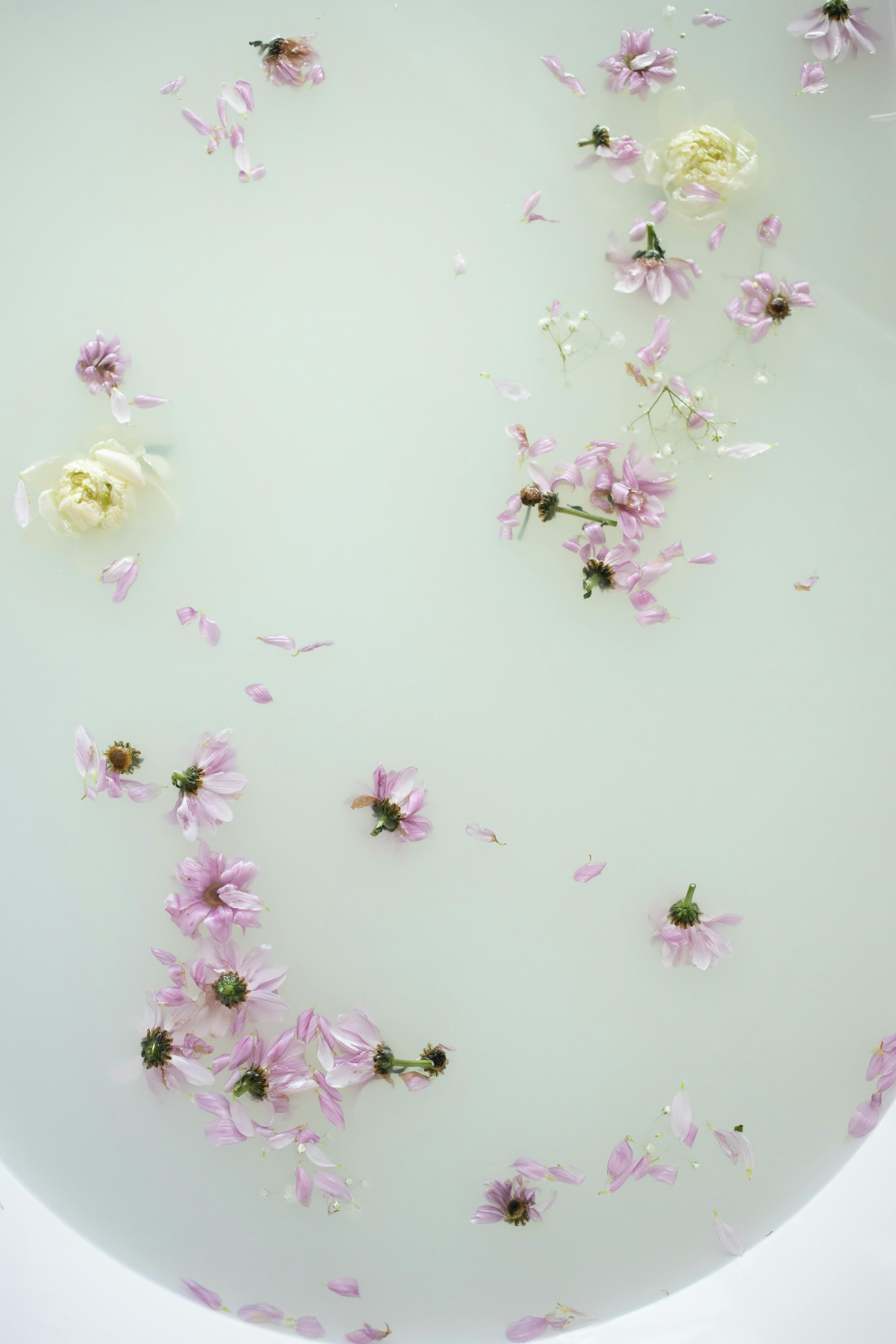 Preparación para automasaje facial japonés