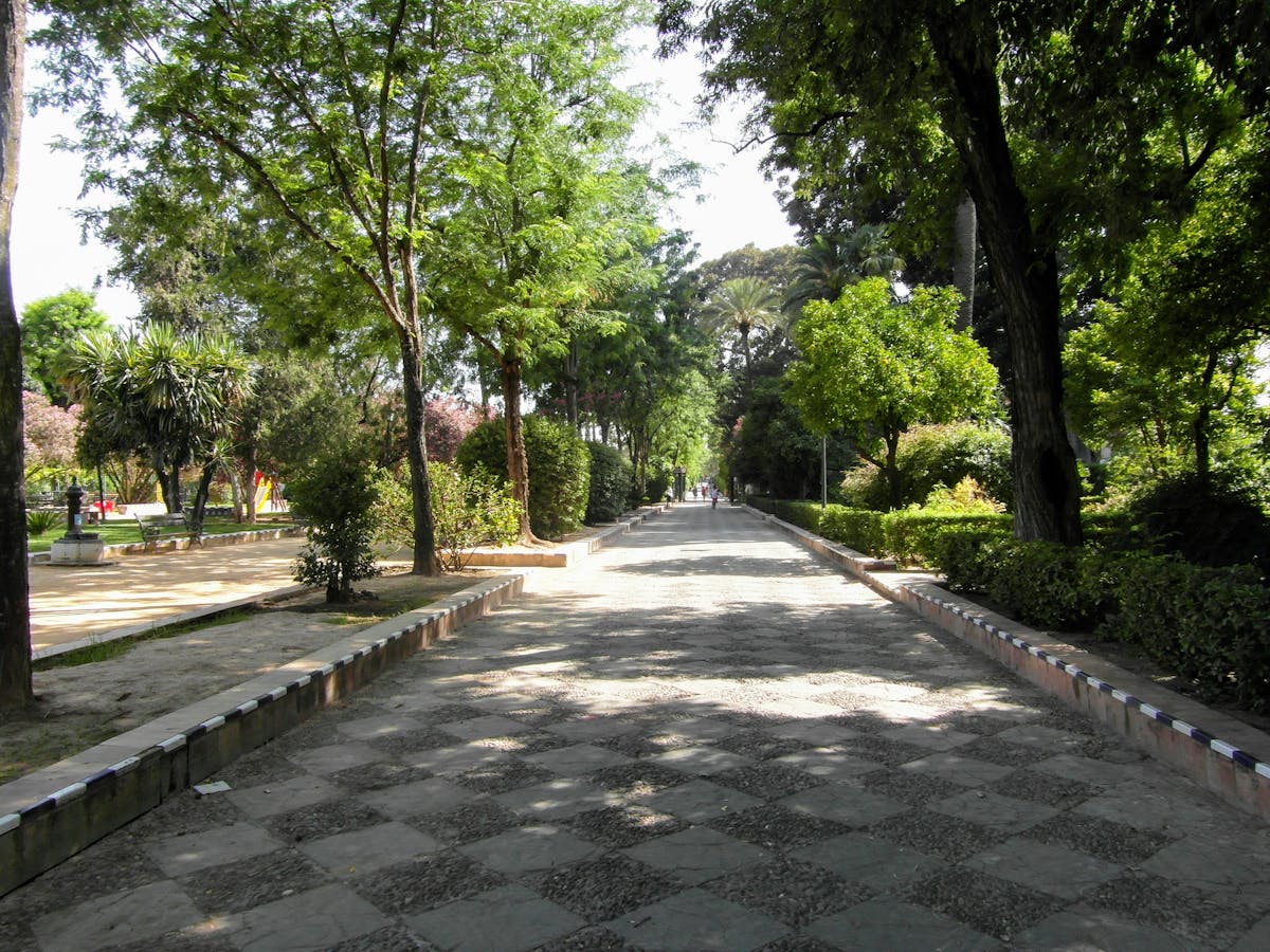 Person recording a TikTok style video with smartphone