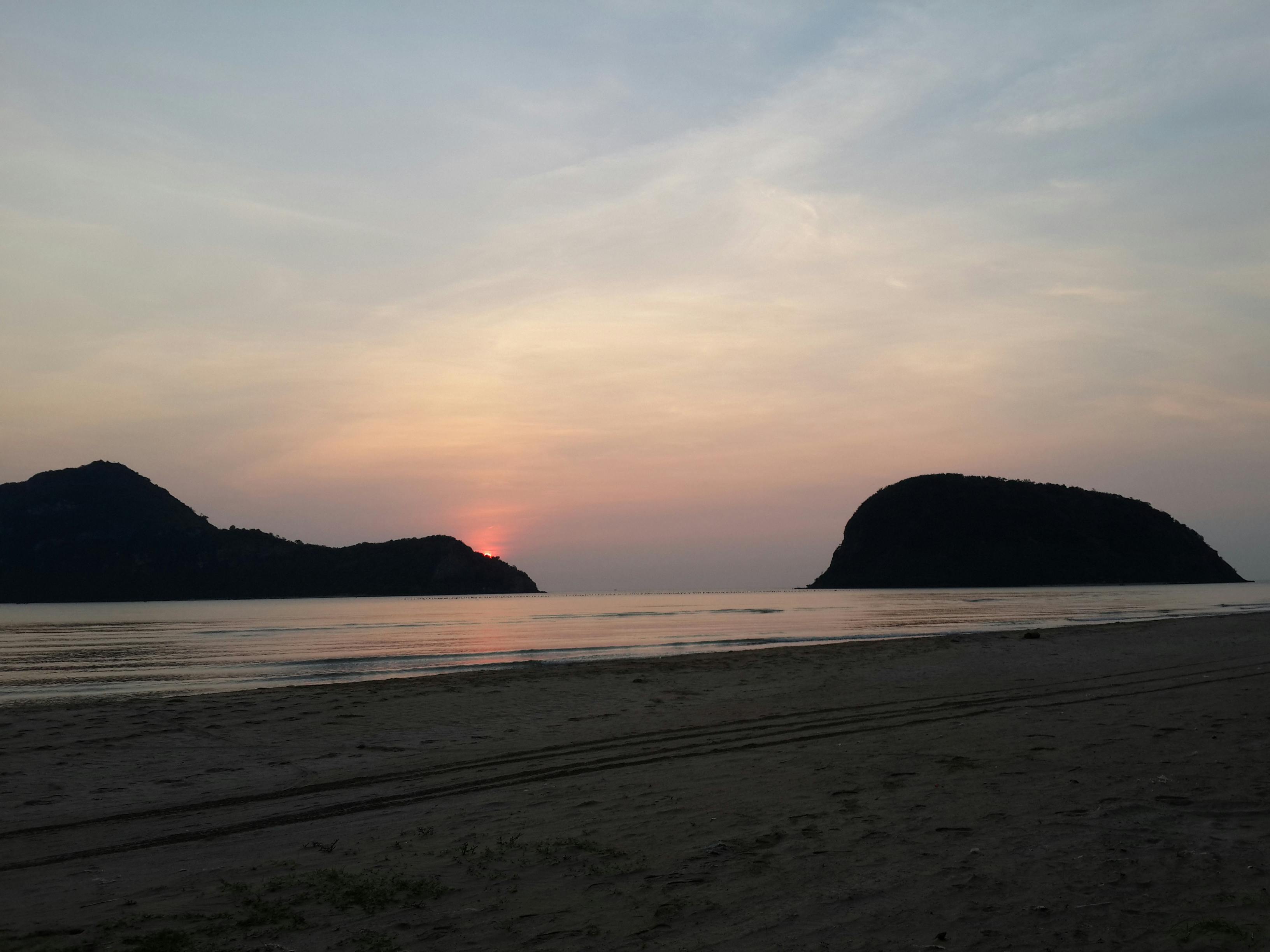 Small fish swimming near floating plastic debris in the ocean.