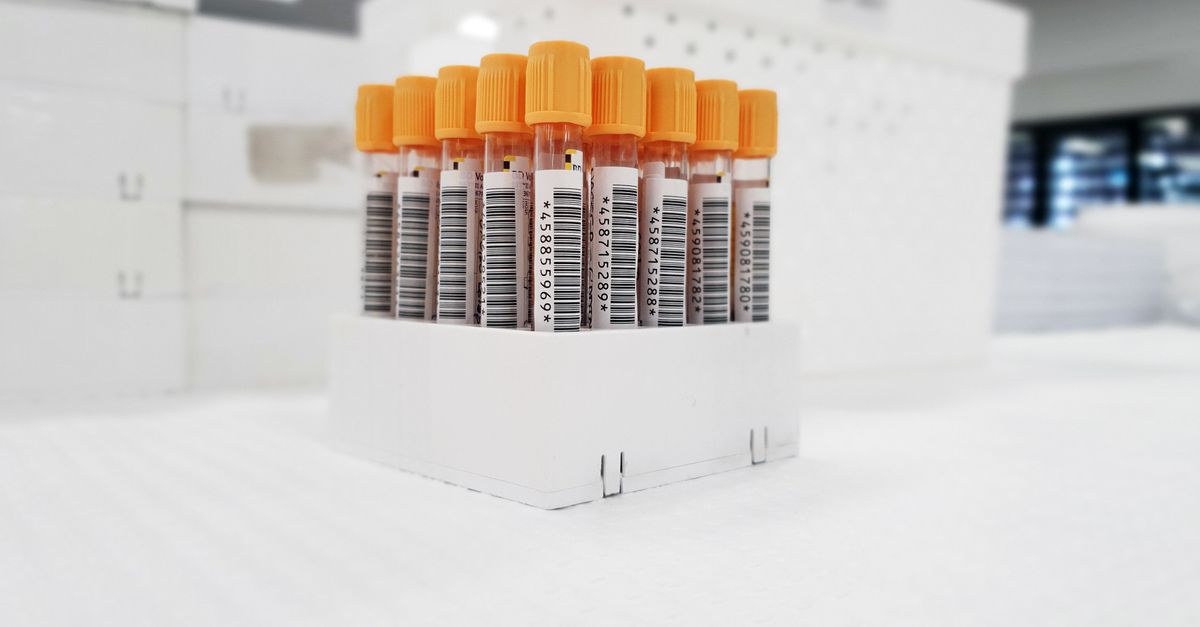 Molbio Diagnostics Targets ₹940 Crore in IPO for Growth and Expansion