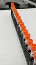 Blood Samples in Test Tubes in a Row