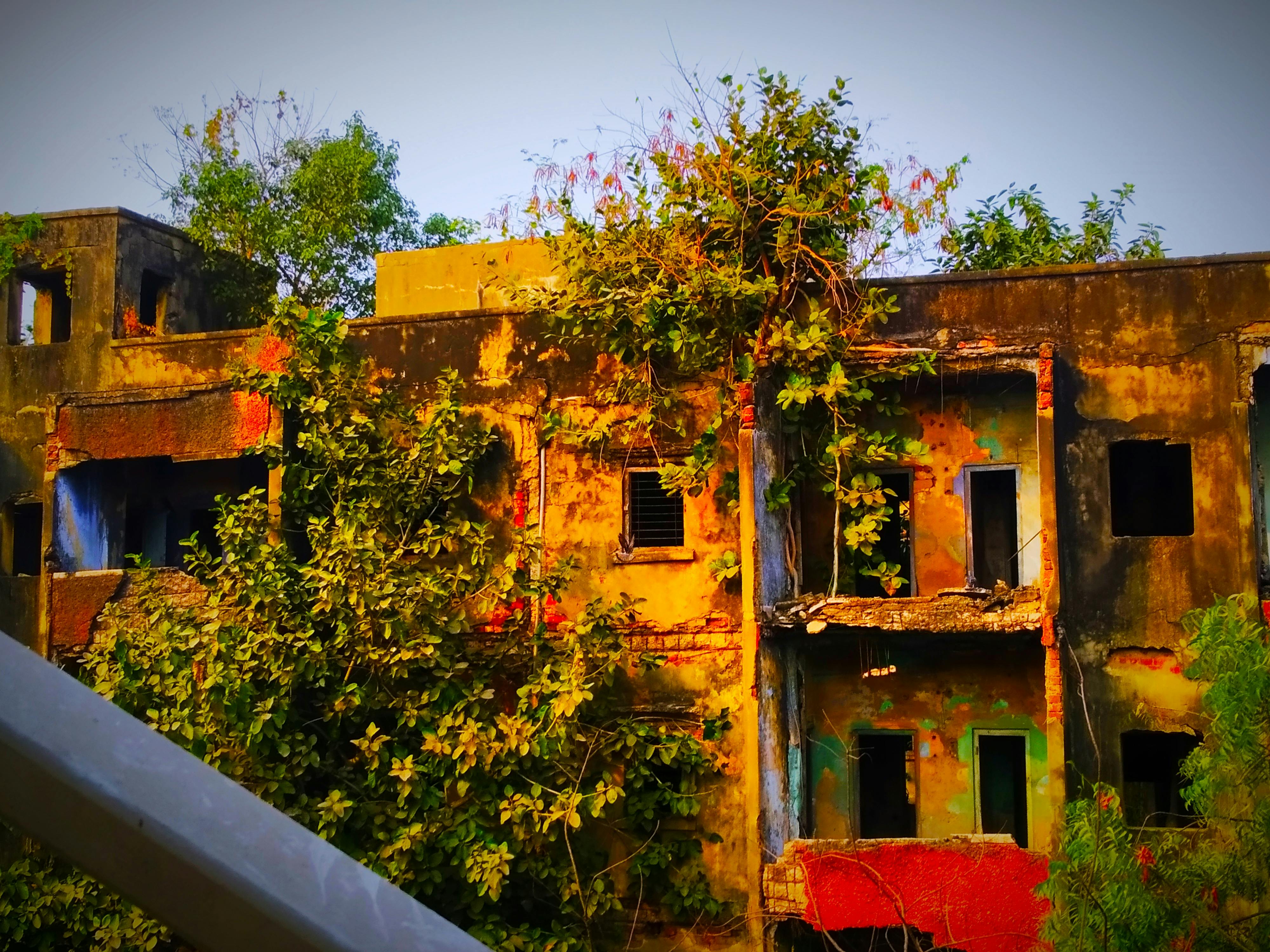 Person journaling with a cup of tea, taking a quiet moment for self-reflection
