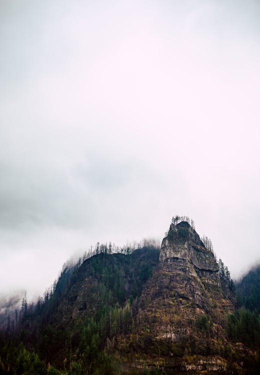 Бесплатное стоковое фото с Альпийский, бесшумный, вертикальный выстрел