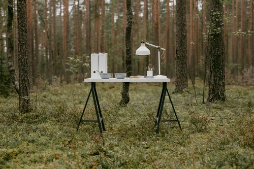 Free A white desk with lamp and office supplies, positioned in a tranquil forest. Stock Photo