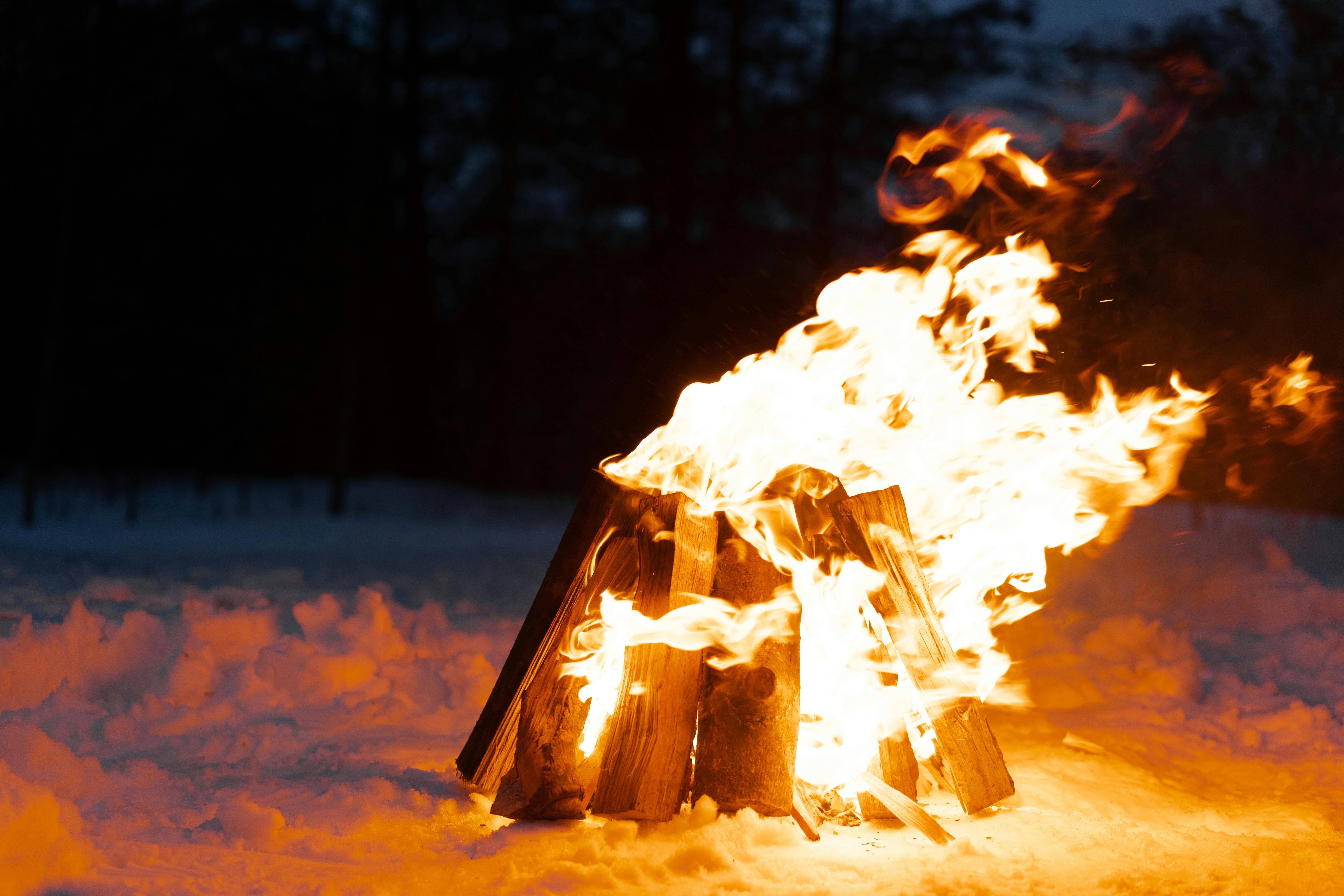 close up shot of burning logs