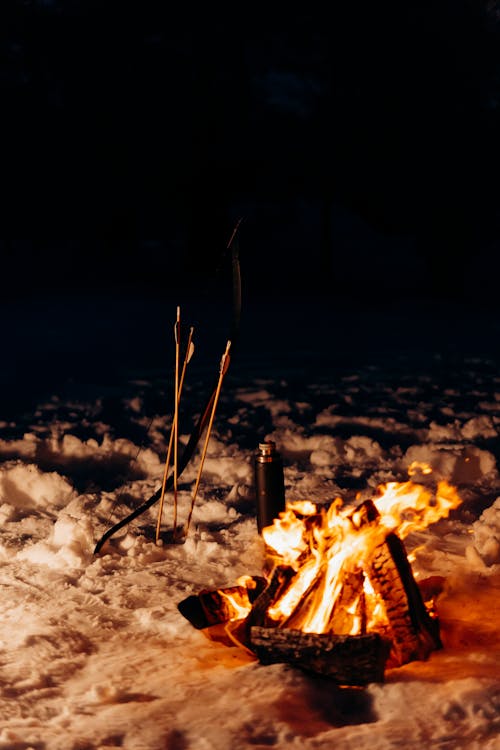 キャンプファイヤー, 冬, 垂直ショットの無料の写真素材