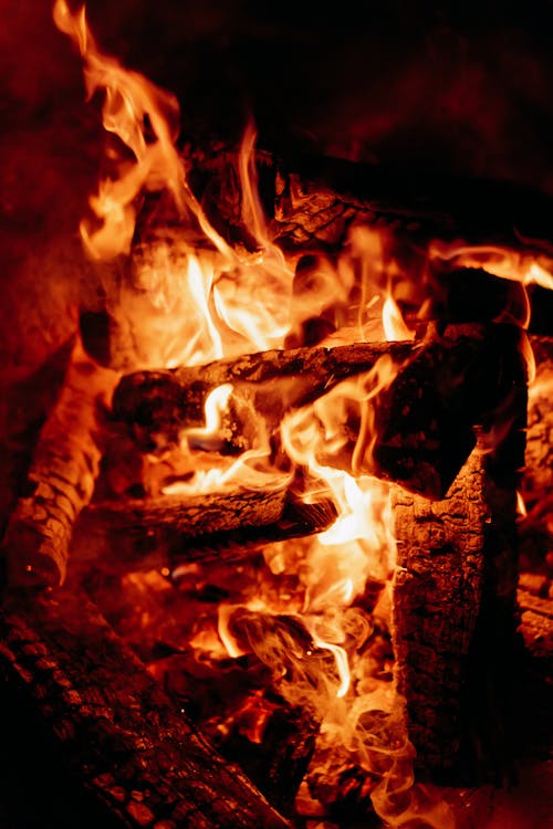 Burning Wood in Fire Pit