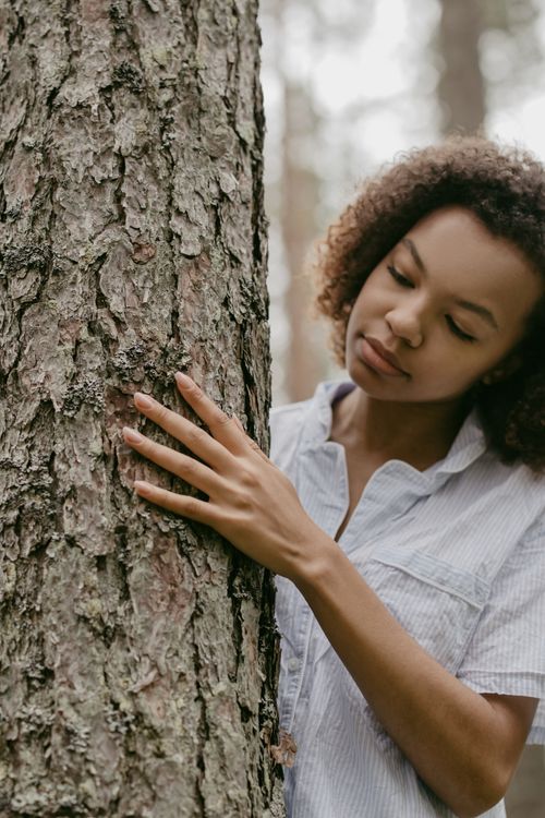 Free Young woman gently touching tree bark in a serene forest, capturing a moment of connection with nature. Stock Photo