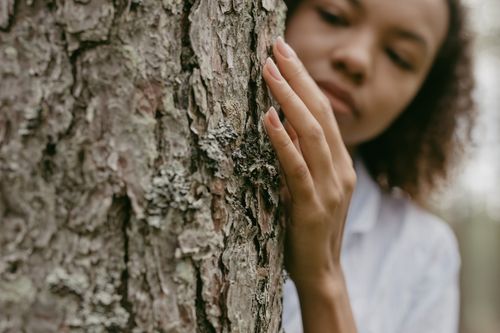 Free A person gently touches tree bark, showcasing a connection with nature. Captured outdoors. Stock Photo