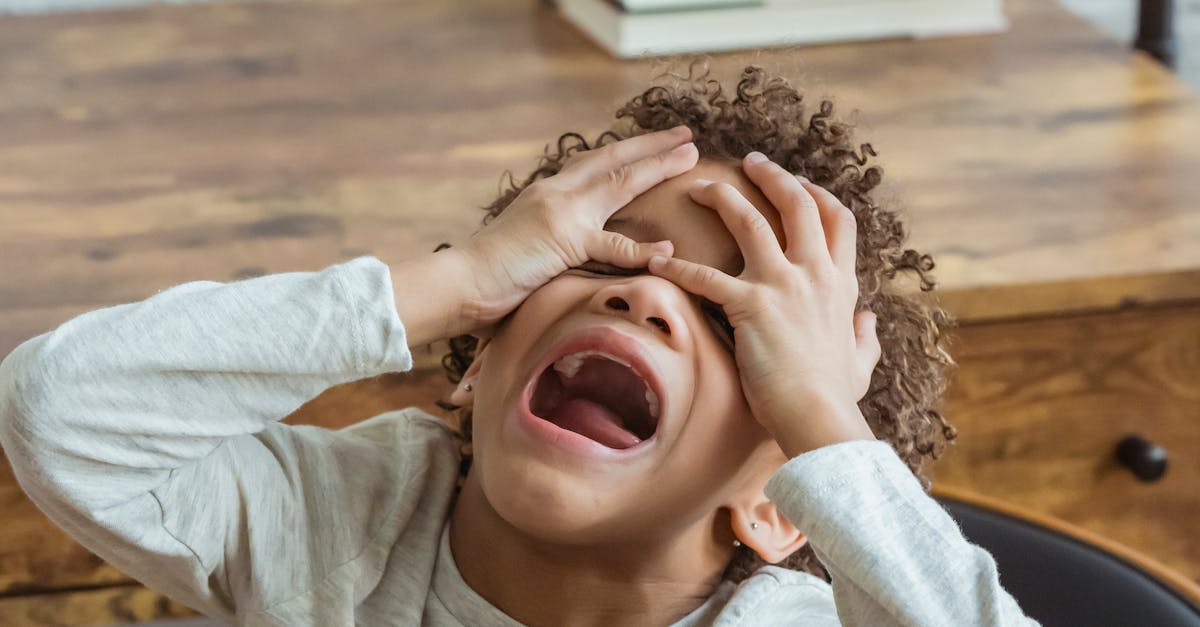 What does dismay mean kid dictionary