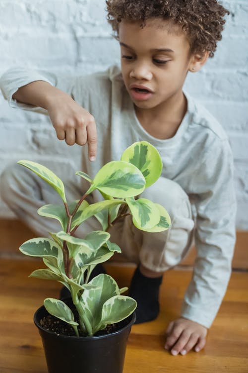 Crop focused African American boy pointing at green leaves of potted houseplant while sitting on floor near wall at home
