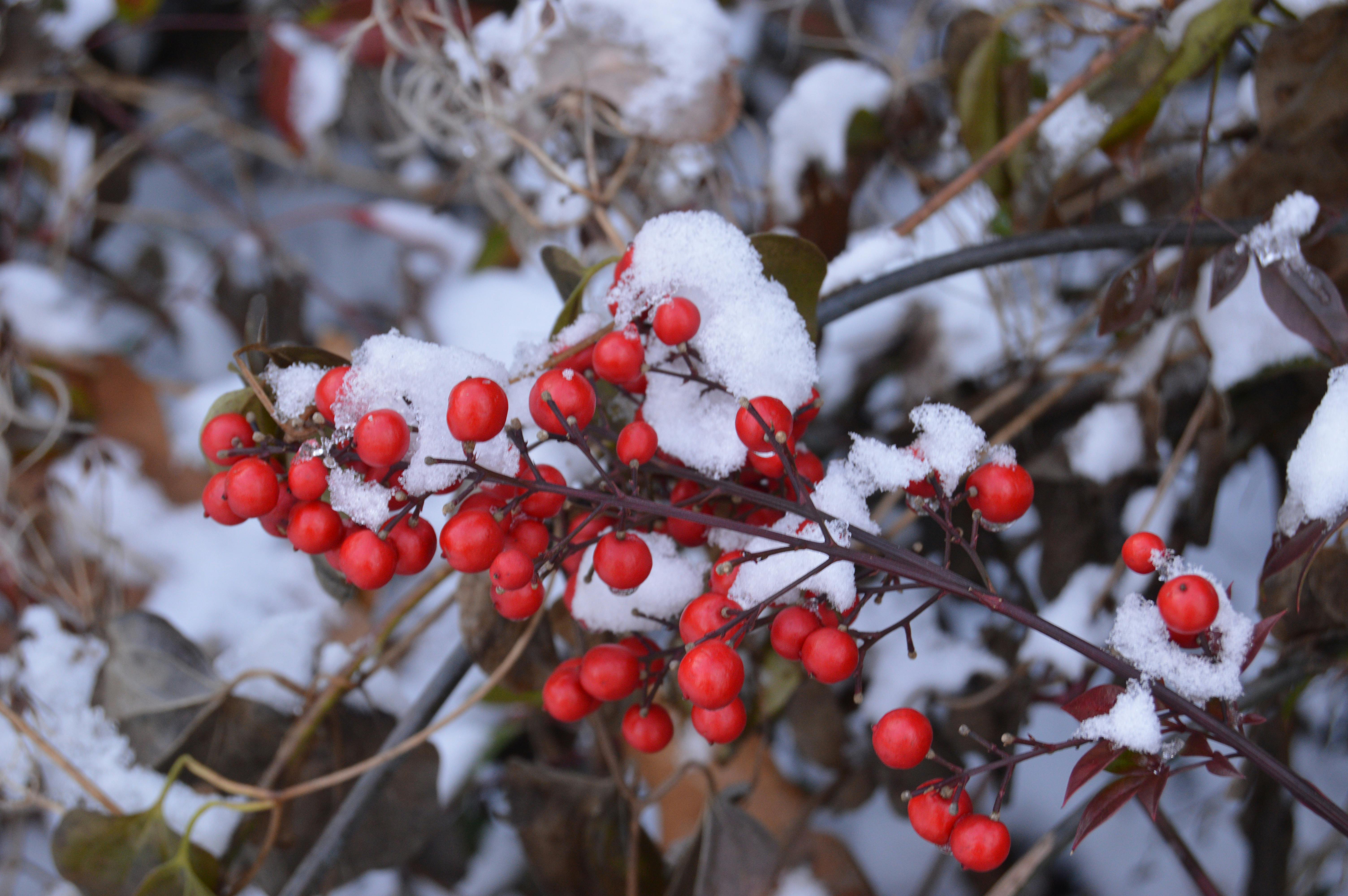 Scientist in lab coat and mask working with samples and a computer in a laboratory