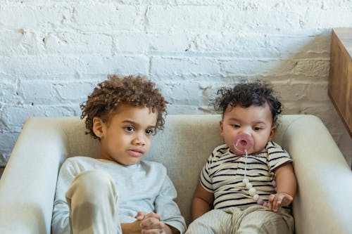 Adorable little black brothers sitting together in soft armchair against white wall in light room