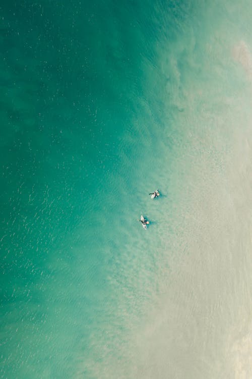 Aerial Photo of People in the Ocean